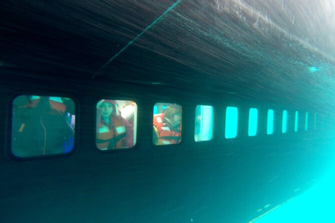 Underwater Whale Watching in Puerto Piramides - Included Services and Amenities