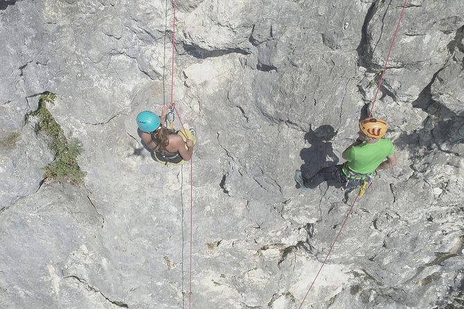 Unique Vertical Camping - Company Background