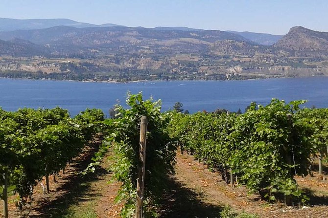 Unmatched Private Wine Tours for Up to 11 in Kelowna Area - Winery Lunch Option