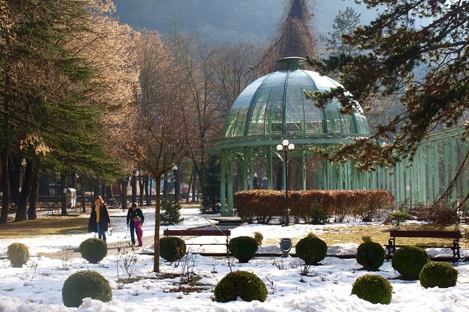 Uplistsikhe-Borjomi 1 Day Tour - Health and Accessibility