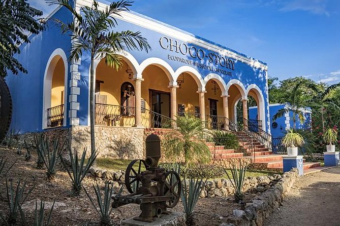 Uxmal and Choco Story Private Tour - Traveler Reviews and Feedback