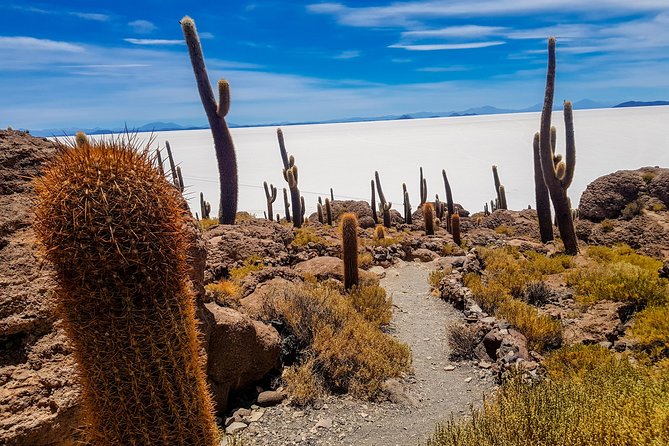 Uyuni Salt Flats - 3 Days / 2 Nights - English Speaking Guide - Traveler Reviews