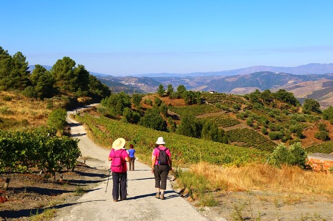 Valença Do Douro Walking Tour - Additional Information