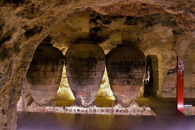 Valencia Wine-Themed Guided Tour - Pairing With Local Delicacies