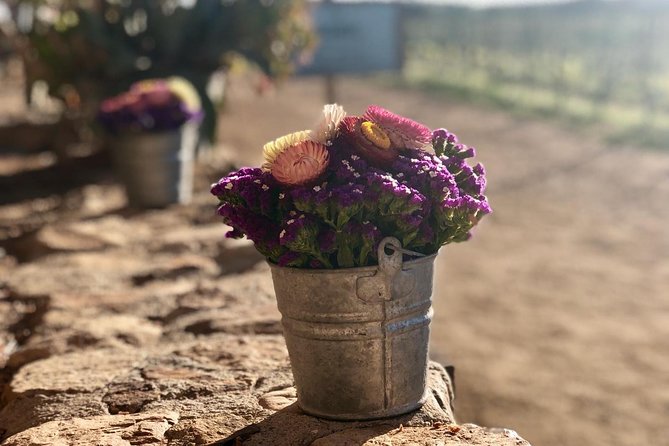 Valle De Guadalupe COUPLES Wine Tasting for 2 - Inclusions