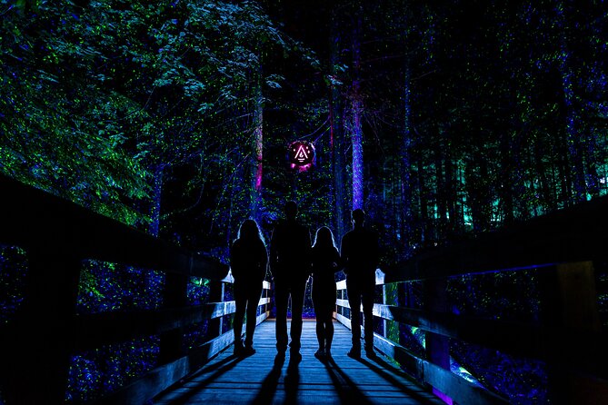 Vallea Lumina Multimedia Experience - Experience and Accessibility Factors