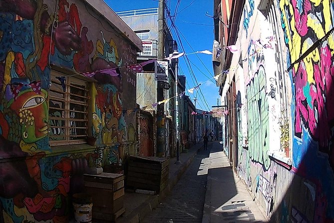 Valparaiso & Viña Del Mar City Tour Museum & Lunch FROM SANTIAGO - Traveler Requirements