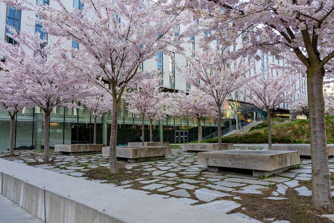 Vancouver Beaches & Downtown: Self-Guided Driving Audio Tour - Meeting Points and Tour Logistics