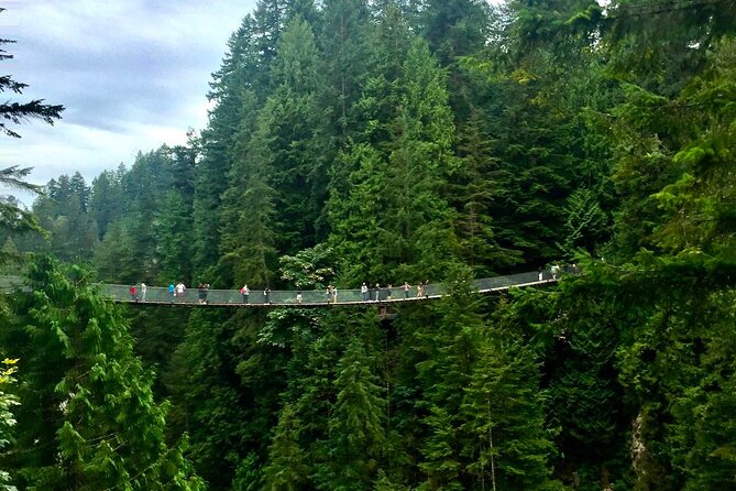 Vancouver Capilano Canyon Light and Peak of Christmas in Grouse Mountain - Accessibility