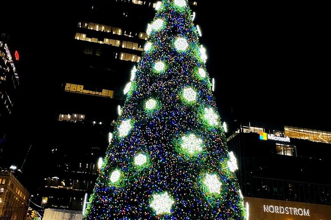 Vancouver Christmas Light Tour Private - Accessibility and Participation