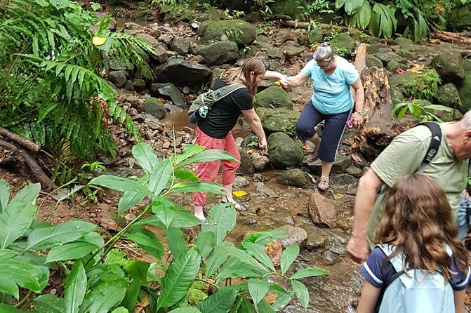 Vermont Nature Trail Hike - Wildlife and Vegetation Sightings