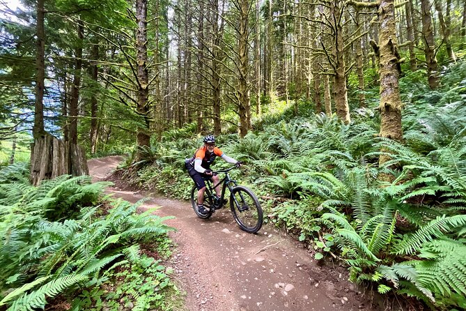 Viator Exclusive - Half Day Mountain Bike Tour From Seattle - Participant Requirements