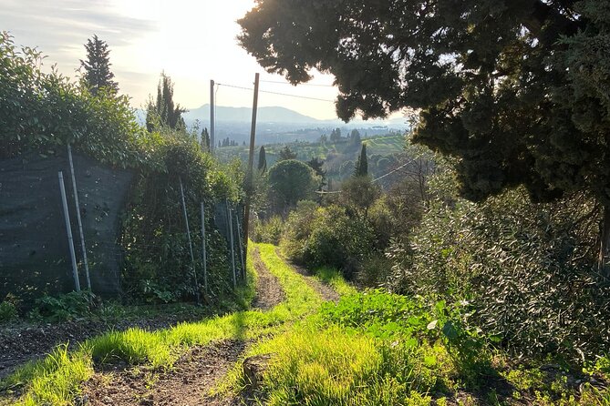 Vinci E-Bike Tour in Leonardos Chianti - Getting to the Meeting Point