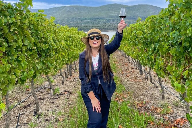 Vineyard Safari and Wine Tasting in Hermanus With Guide - Meeting and Arrival Information