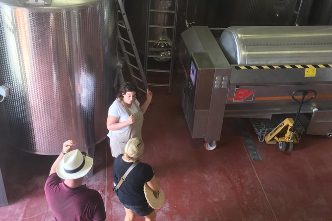 Vineyard Visit With Local Appetisers and Wine Tasting - Meeting and Pickup