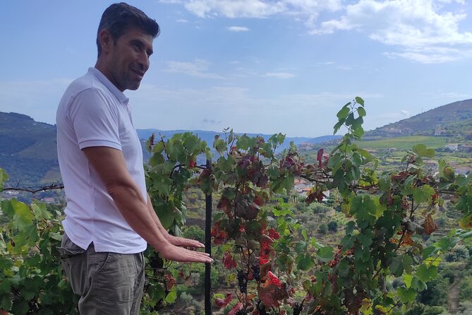 Vinho Verde Experience - Experience Highlights