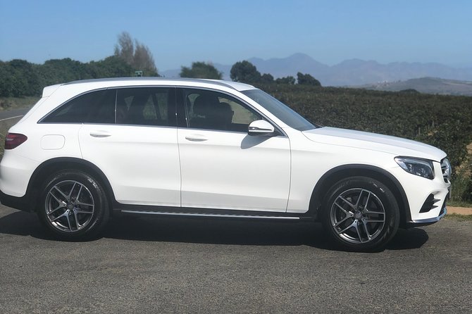 VIP Cape Town Private Guided Tour in Premium Luxury Vehicle - Tour Experience and Guide Feedback
