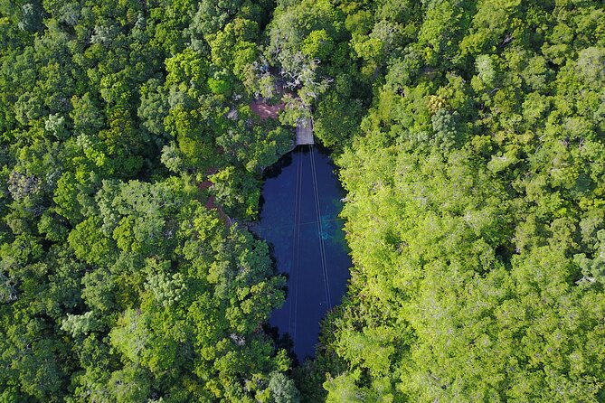 VIP Cenotes & Turtles Private Tour - Tour Inclusions