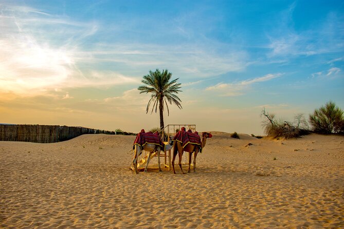 VIP Dubai Desert Safari Camel Ride, Sand Ski, Live BBQ Dinner - Refreshments and Amenities