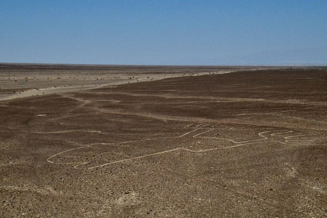VIP Tours Nazca Lines - Private Transportation and Personalized Attention