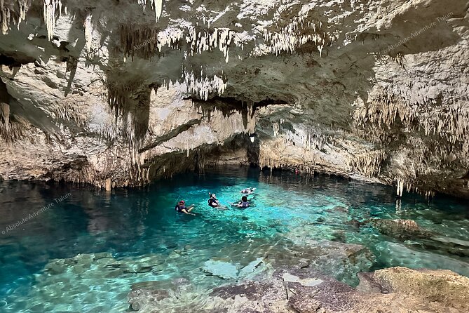 VIP Tulum Private Tour With Snorkeling in Breathtaking Cenote - Accessibility and Participation