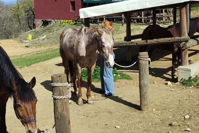 Visit a Farm and Horseback Riding in Nature - Additional Info