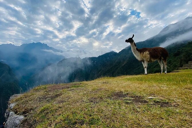Visit Cusco & Machu Picchu in 5 Days / 4 Nights - All Inclusive - Meeting and Pickup