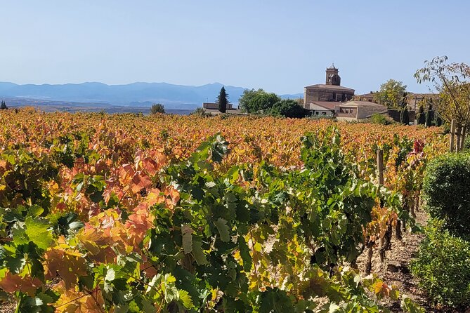 Visit Marques De Riscal & Picnic in Vineyard From Bilbao - Group Size and Booking Information