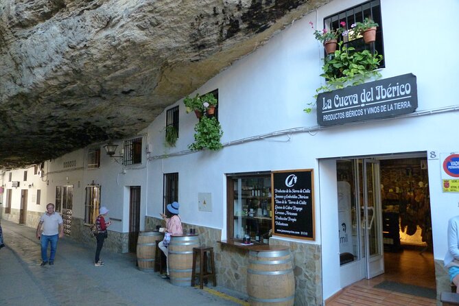Visit Ronda and Setenil De Las Bodegas in One Day From Malaga - Accessibility and Travel Tips