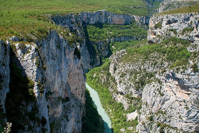 Visit the Lavender Fields, the Gorges Du Verdon, and Moustiers. - Accommodations for Childrens Needs