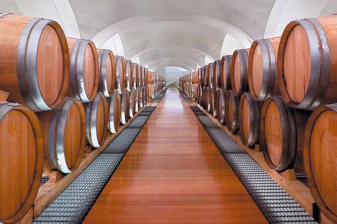 Visit to the Cellar at the Feudi Di San Gregorio Da Sorrento - Accessibility and Inclusivity