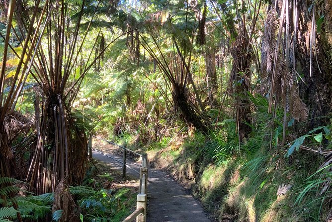 Volcanoes National Park - From Kona - Wildlife Sightings