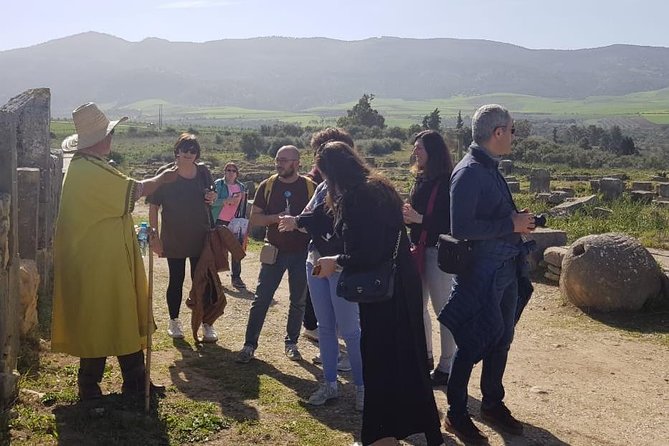Volubilis, Moulay Idriss, and Meknes Tour - Local Cuisine Experience