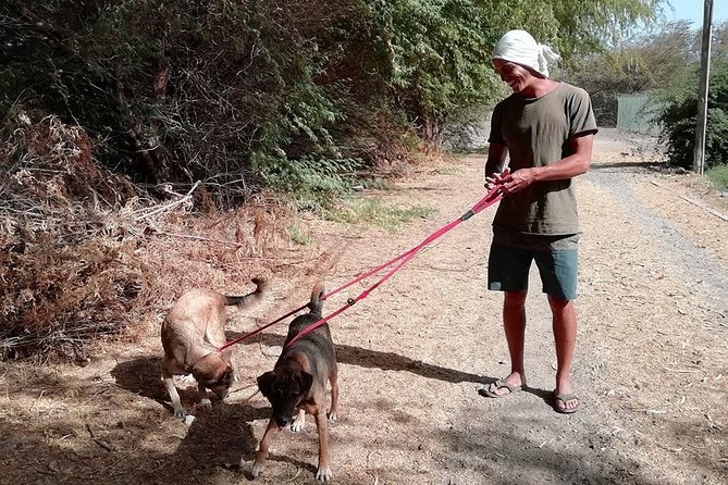 Volunteering With Animals in Sao Vicente! - Activity Logistics