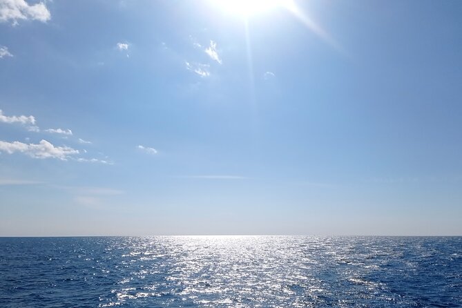 Vrsar, Lim Fjord and Rovinj Day Tour by Boat With Drinks - Tour Highlights and Attractions