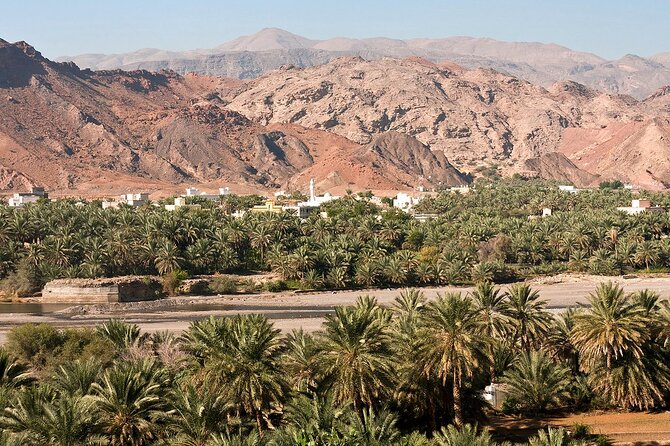 Wahiba Sands Tour - What to Expect on the Tour
