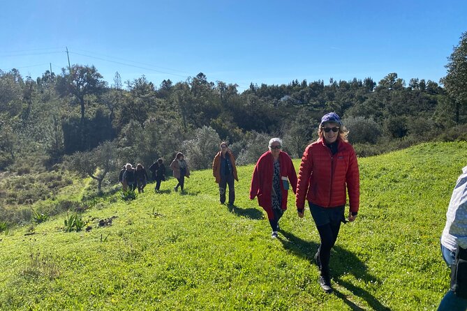 Walk in the Hills With Goat Herder-Local Honey, Wine and Cheese Tasting - Personalized Attention in a Private Tour