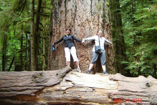 Waterfalls, Cathedral Grove Rainforest, and Coombs Adventure With Hiking - Good To Know