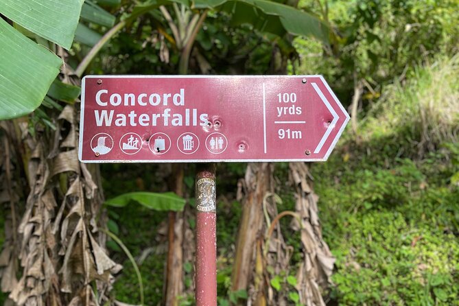 West Coast: Rum Distillery, Concord Waterfall, Nutmeg Processing - Reviews and Ratings