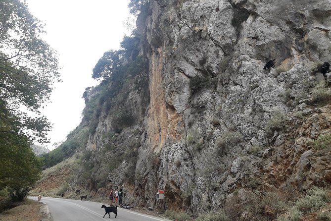 West Crete Nature Private Tour With Lunch (Price per Group of 6) - Tour Schedule and Availability