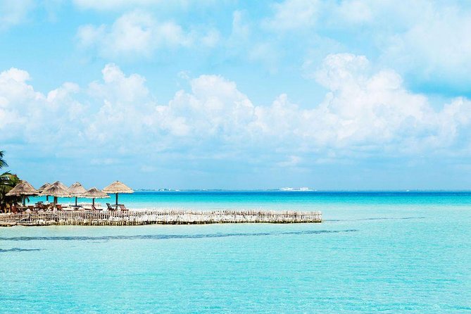 Whale Shark Experience Lifetime Memory in Cancun (Snack Included) - Experience and Reviews