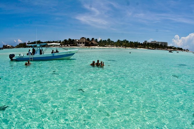 Whale Shark Tour From Cancun, Playa Del Carmen, Tulum and Riviera Maya - Health and Safety Guidelines