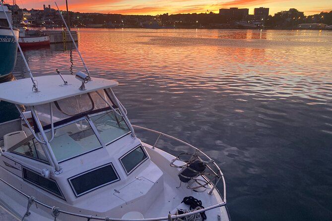 Whale Watching, Shark and Cod Fishing, From St. Johns Harbor - Tour Details