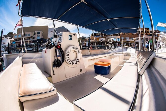 Whale Watching With Hydrophone in Cabo San Lucas - Reviews and Feedback
