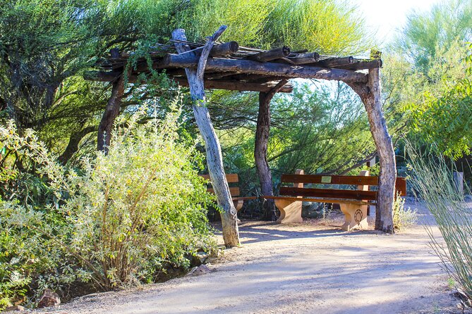 When Nature Calls - Exploring the Sonoran Desert - Highlights of the Experience