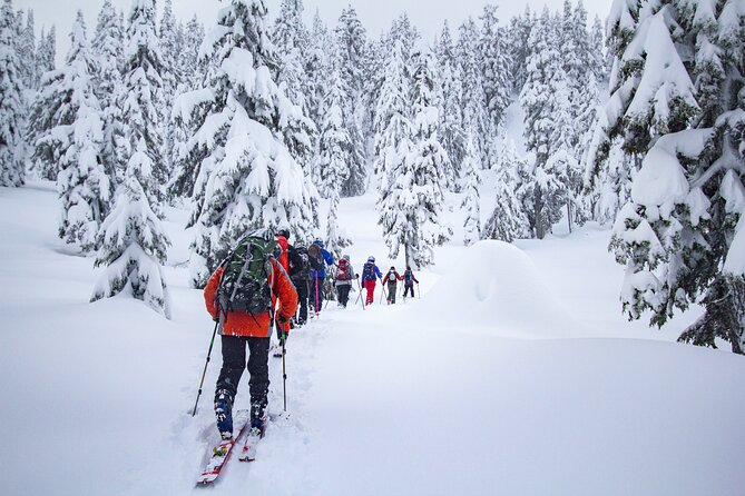 Whistler Intro to Backcountry Skiing and Splitboarding - Participant Requirements