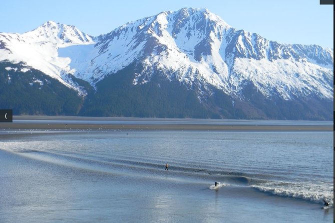 Whittier to Anchorage Cruise Transfer and Private Tour - Tour Accessibility