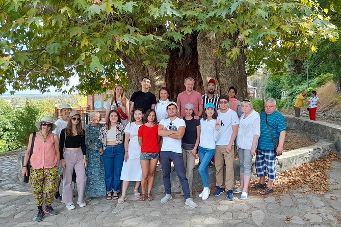 Whole Day Wine Tour to Kakheti From Tbilisi - Viators Customer Ratings and Reviews