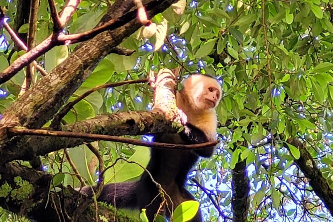 Wild Nature and Adventure Combo From Guanacaste - Preparing for the Adventure