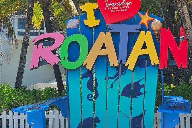 Wildlife Adventure & Beach - Relaxing Beach Day